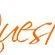 Quest Limos Logo