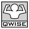 Qwise Logo