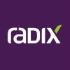 Radix Engenharia e Software Logo