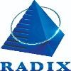 RadixWeb Logo