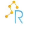 Raider Data Services Logo