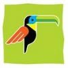 Rainforest Carwash Logo