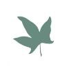 Rancho Santa Ana Botanic Garden Logo