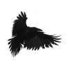 Raven Security Logo