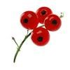 Red Berry Recruitment Logo