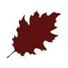 Red Oak Recovery Logo