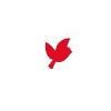 Red Robin Country Day School and Camp Logo