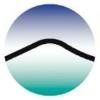 REMSA Logo