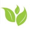 Respond (MA) Logo
