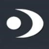 Rhode Island Eye Institute Logo