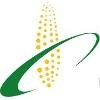Riddhi Siddhi Corn Processing Logo