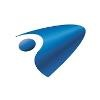 Riken Americas Logo