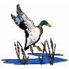 Riverside Country Club Logo