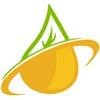 RLG Group Logo