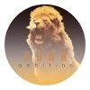 Roar Ambition Logo