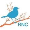 Robin's Nest Consulting Logo