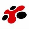 ROI Networks Logo