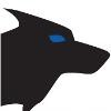 Roka Security Logo