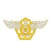 ROKAF Logo