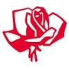 rose plastic Logo