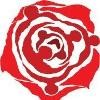 Rose Valley Group Logo