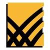 Runbook Company Logo