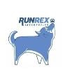 RunRex Interactive Logo