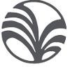 Sabal Palms Logo