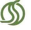Sadat Associates Logo