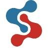 SAFER Systems Logo