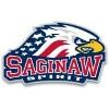 Saginaw Spirit Hockey Club Logo