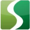 Salem Engineering Group Logo