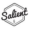 SALIENT6 Logo