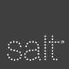 SALT Branding Logo