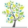Salveo Integrative Health Logo