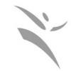 Sand Martin Consultants Logo