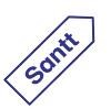 Santt Logo