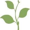 Sapling Energy Logo