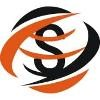 SARANSH Group Logo
