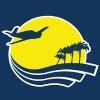 Sarasota Avionics International Logo