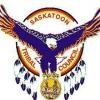 Saskatoon Tribal Council Logo