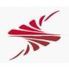 Savvy Technology Solutions Logo