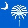 SC Department of Disabilities and Special Needs Logo