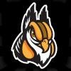 Schaumburg Boomers Logo