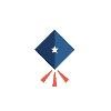 Scholarship America Logo