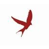 Scout Logistics Logo
