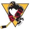 Wilkes-Barre/Scranton Penguins Logo