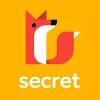 Secret Logo