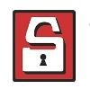 Security Public Storage Logo