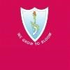 Seedling Modern High School Logo